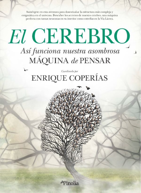 El cerebro. Manual de usuario