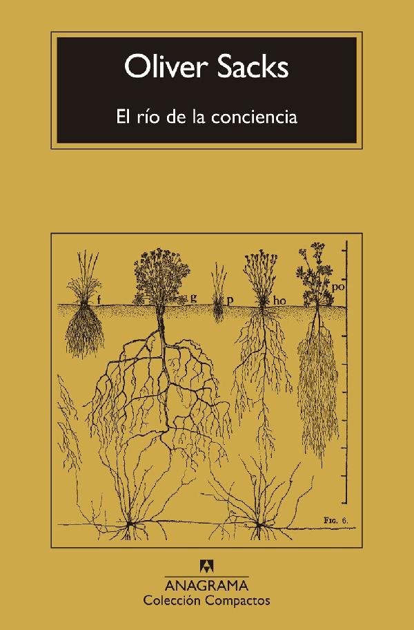 El río de la conciencia (Compactos)