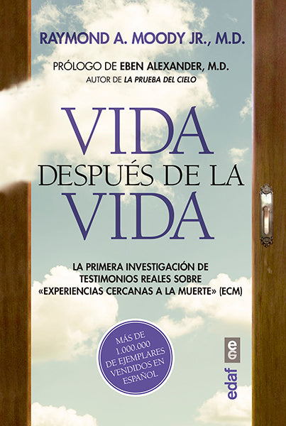 Vida después de la vida (Paperback)