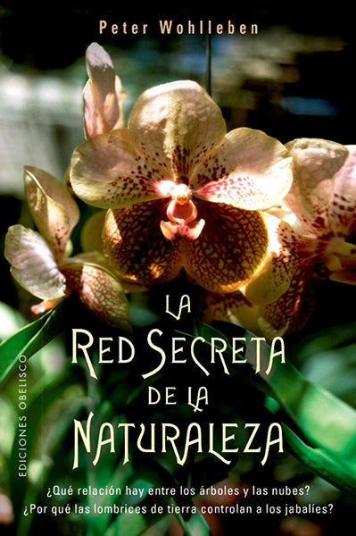 La red secreta de la naturaleza