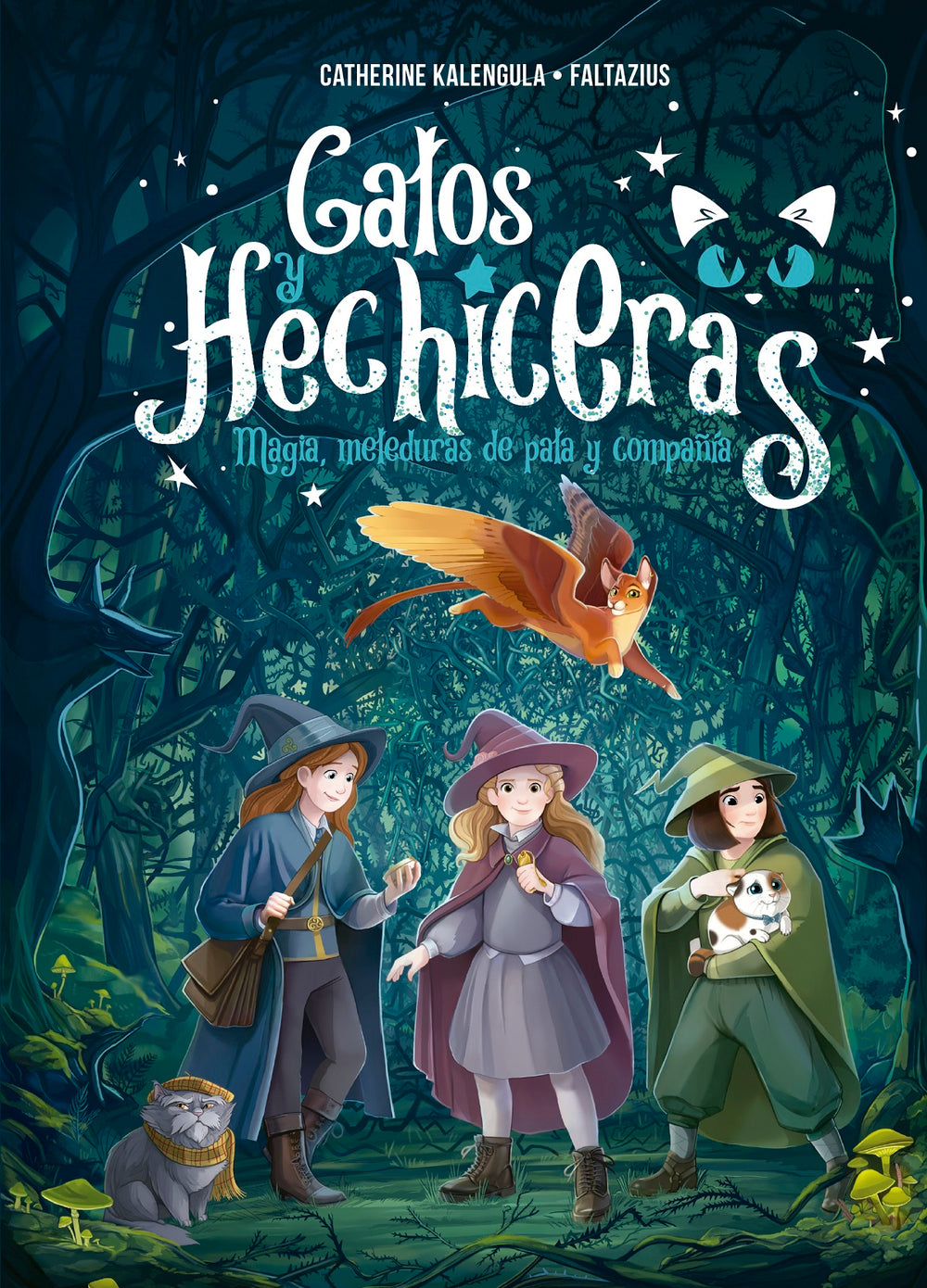 Gatos y hechiceras