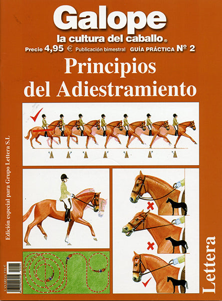 Principios del adiestramiento