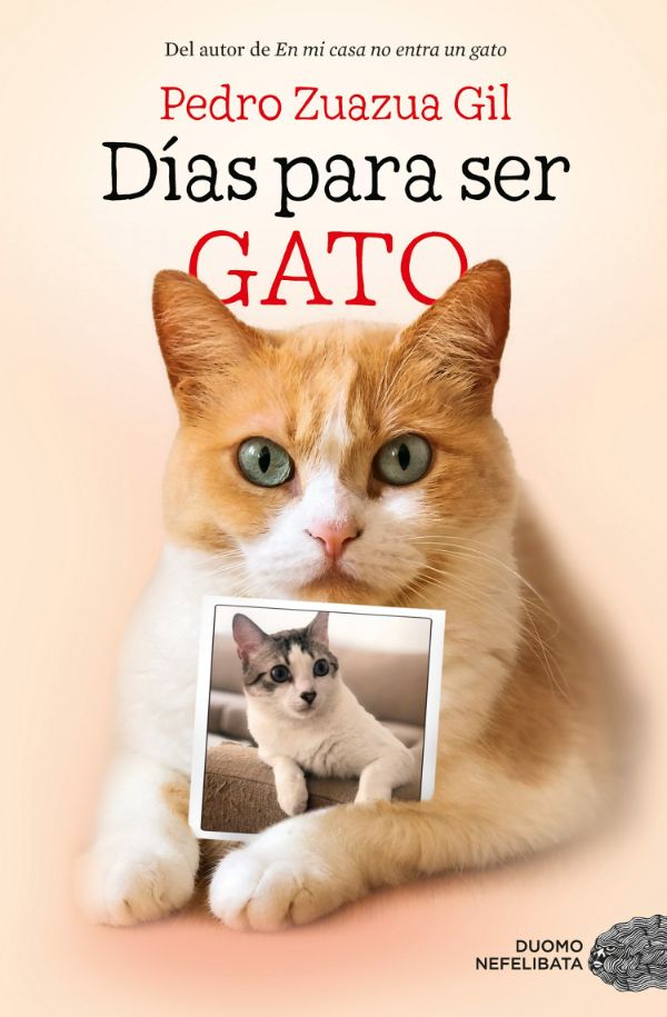 Días para ser gato