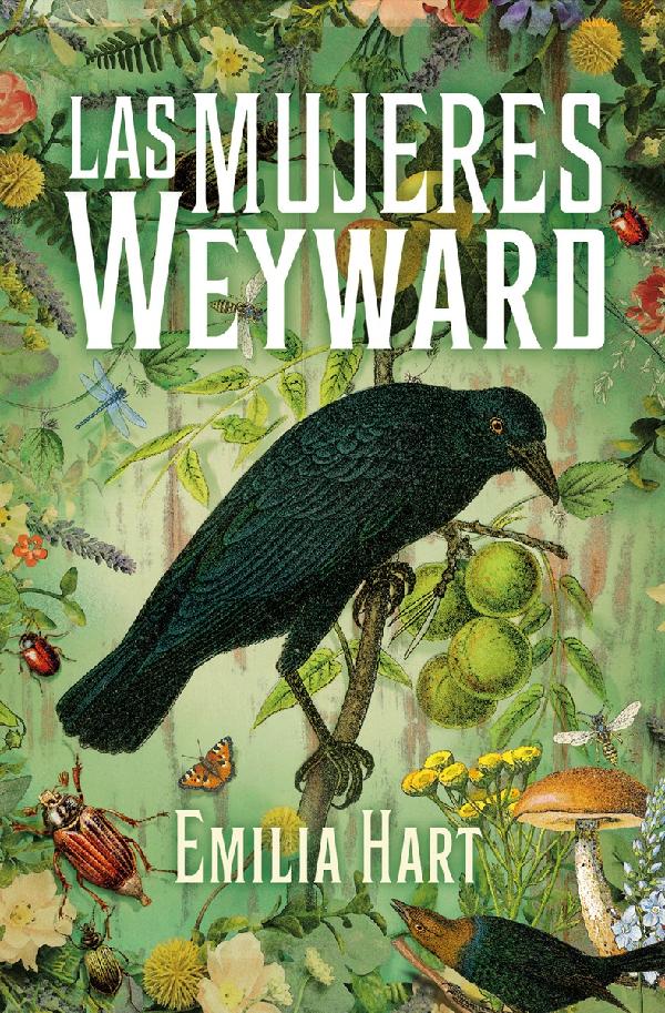 Las mujeres Weyward (Pocket)