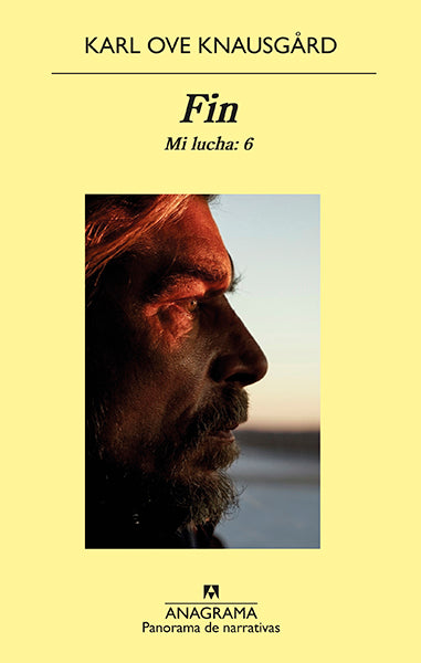 Mi lucha, VI
