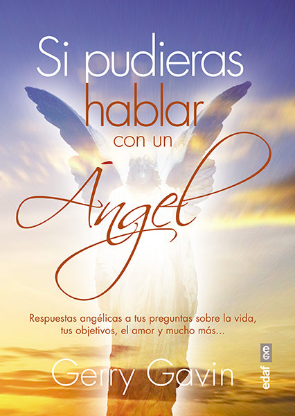 Si pudieras hablar con un ángel
