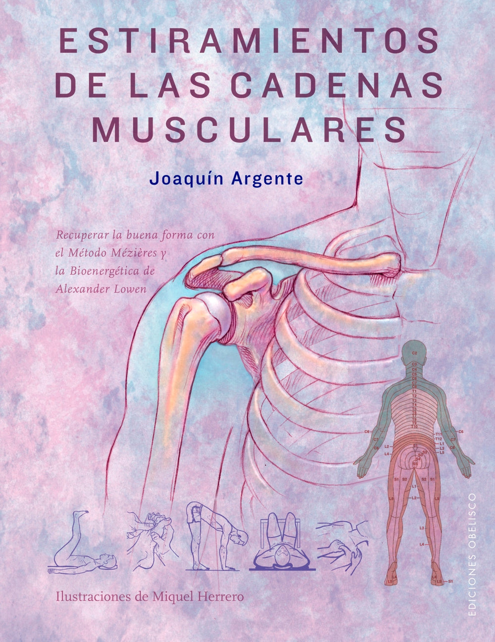 Estiramientos de las cadenas musculares