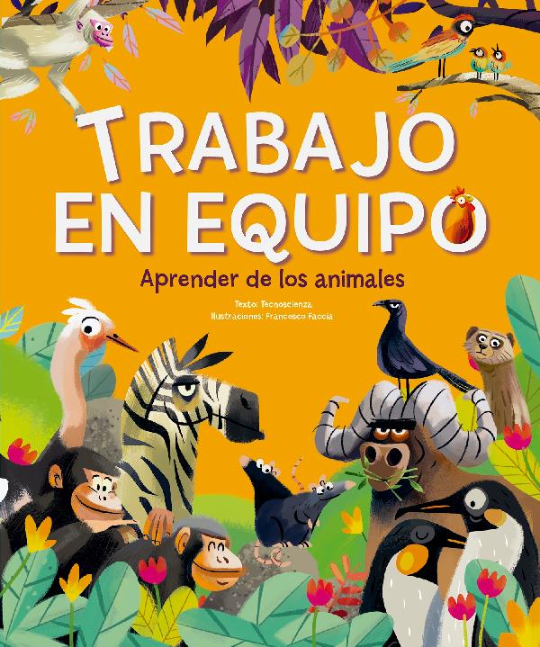 Trabajo en equipo