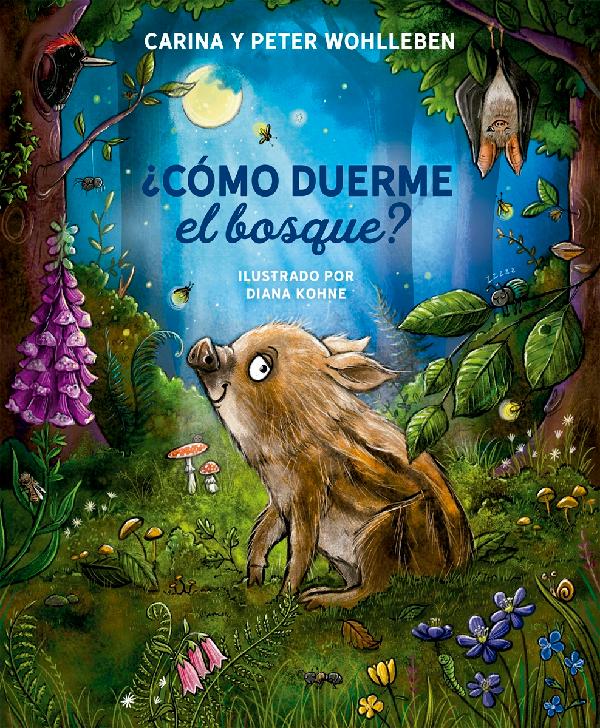 ¿CÓMO DUERME EL BOSQUE?